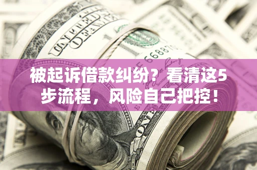 济南被起诉借款纠纷？看清这5步流程，风险自己把控！
